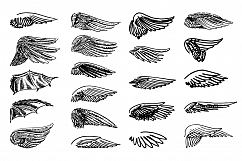 Wings illustration set on white background Product Image 1