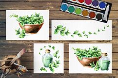 Fresh mint Product Image 5