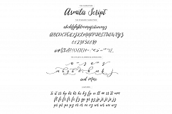 Asmila Script Product Image 6