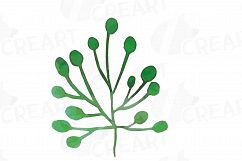 Green leaves and branches watercolor clip art pack, hand painted leafs collection. PNG, jpg, svg, vector illustrator &amp; corel files included Product Image 8
