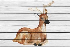 Woodland Watercolor clip art Product Image 5