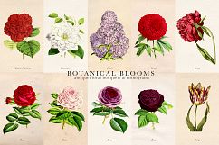 Botanical Blooms and Monograms Product Image 5