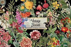 Vintage Flower Clipart Product Image 2