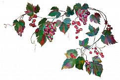 Watercolor grape set + Bonus 4 BG. Product Image 8