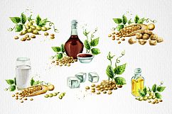 Soybeans &amp; soy products. Watercolor Product Image 3