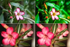 Desert Rose Lr Presets Product Image 4