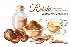 Reishi. Ganoderma Lucidum Product Image 1