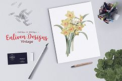 Florals - Vintage Yellow Daffodil Product Image 5