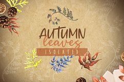 Watercolor autumn leaves png Product Image 5