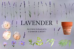 Lavender clipart, isolated lavender graphic Product Image 3