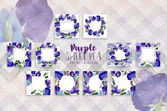 Purple sweet pea PNG watercolor flower set Product Image 5