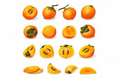 Persimmon icons set, cartoon style Product Image 1