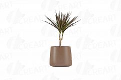 Leafy plants clip art collection, Watercolor plants in pot Product Image 6