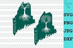 State Roots-All 50 States Product Image 5
