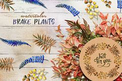 Brake plants PNG watercolor set Product Image 6
