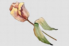 Wildflower autumn tulips PNG watercolor set Product Image 2
