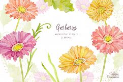 Watercolor set of gerbera flowers Product Image 4