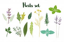 Herbs set Product Image 4