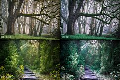 Dark Forest Lr Presets Product Image 7