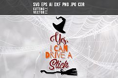 Yes, I can drive a stick - svg, eps, ai, cdr, dxf, png, jpg Product Image 1
