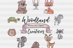 Woodland Clipart-Watercolor Clipart-Animal Clipart-Cute-Cartoon-Forest Animals-Watercolor Animal-Fox-Squirrel-Bunnie-Skunk-Turtle-Hawk-Deer Product Image 2