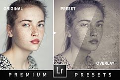 Wet Plate Effect Lightroom Presets Product Image 6