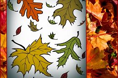 Fall/ Autumn SVG PNG EPS DXF JPEG Files Product Image 4