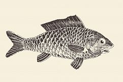 Fish (Bream) Product Image 1