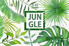 Tropical leaves branches Watercolor Product Image 1