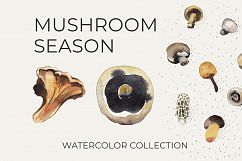 MUSHROOM SEASON Product Image 1
