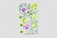 Ornamental orchid flower PNG watercolor set   Product Image 2