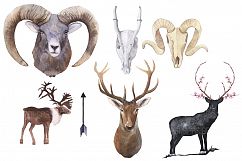 Forest Animals and Succulents Product Image 3