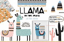 Llama cute tribal collection Product Image 1
