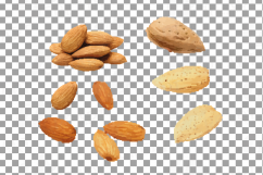 Nuts clip art pack, Watercolor nuts chart, food print Product Image 4