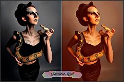 Opalesque Fashion Show Profiles LR 7.3 ACR 10.3 Product Image 8