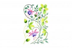 Ornamental orchid flower PNG watercolor set   Product Image 1