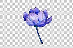 Aquarelle lotus flowers PNG set Product Image 6
