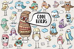 Cool Birds Product Image 1