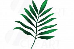 Summer leaf clip art pack, palm leaf collection. Eps, png, jpg, pdf, svg, vector illustrator &amp; corel files included, instant download Product Image 3