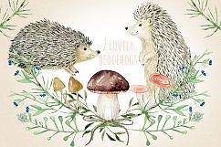 Autumn in the forest. Watercolor clipart. Product Image 5