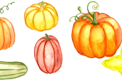 Watercolor Pumpkin Clipart Product Image 3