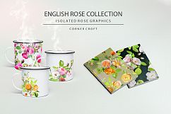Isolated Rose Bundle  Product Image 5