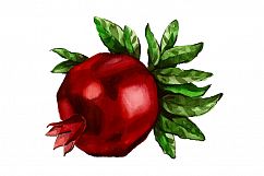 watercolor autumn pomegranate vector Product Image 1