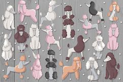 Poodles Product Image 2