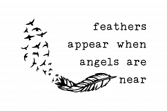 Feathers appear when Angels are near Product Image 2