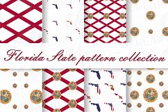 Florida State pattern, printable Florida digital paper Product Image 1