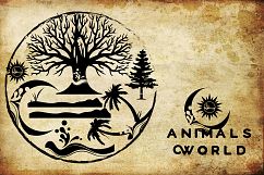 21 ANIMALS WORLD Product Image 4