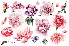 HandDrawn Watercolor Bundle FLOWERS2 Product Image 17