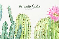 Watercolor clipart cactus for instant download  Product Image 7