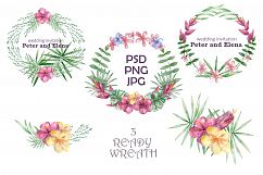 Wild Cats. Tropical watercolor Product Image 5